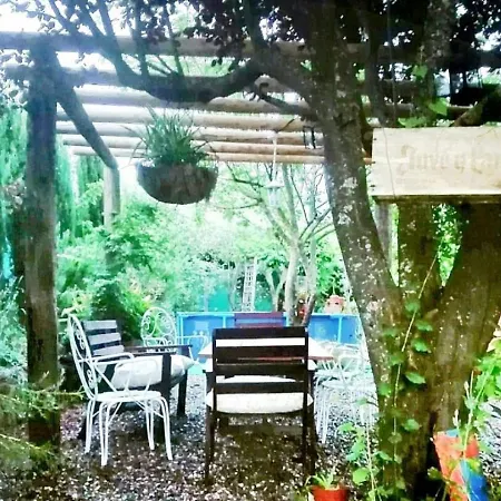 Naturaleza, Confort Y Vistas Inigualable En La Cumbre Ferienhaus *