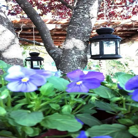 Naturaleza, Confort Y Magnificas Vistas A Sierra De Tr-cc-00490 *