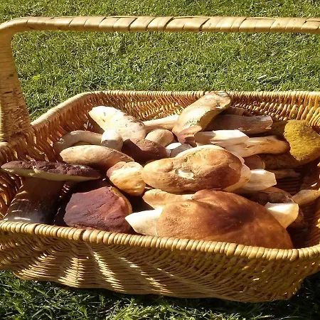 Hébergement de vacances Naturaleza, Confort Y Magnificas Vistas A Sierra De Tr-cc-00490 *