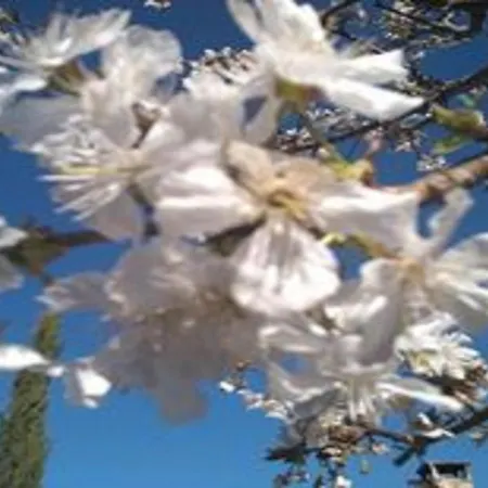 Дом отдыха La Cumbre-Jardin Privado Y Piscinas Naturales En Sierra De Gata Tr-Cc-00490 *