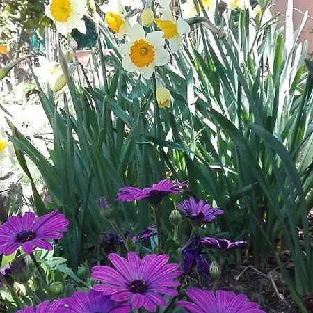 Naturaleza, Confort Y Magnificas Vistas A Sierra De Tr-cc-00490 Hébergement de vacances