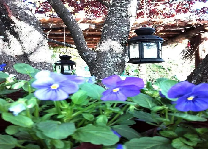 Naturaleza, Confort Y Maravillosas Vistas A Sierra De Gata Tr-Cc-00490 *