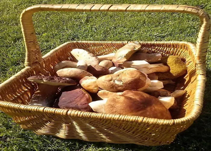 Holiday home Naturaleza, Confort Y Maravillosas Vistas A Sierra De Gata Tr-Cc-00490 *