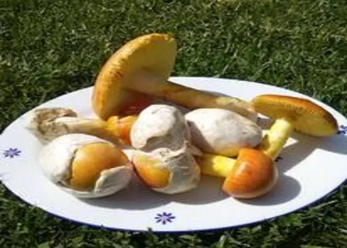 Holiday home Naturaleza, Confort Y Maravillosas Vistas A Sierra De Gata Tr-Cc-00490 *