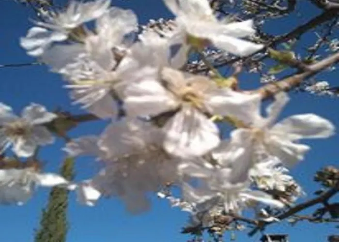 Holiday home Naturaleza, Confort Y Maravillosas Vistas A Sierra De Gata Tr-Cc-00490 *