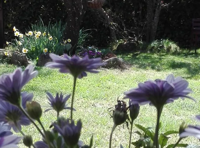 Naturaleza, Confort Y Maravillosas Vistas A Sierra De Gata Tr-Cc-00490
