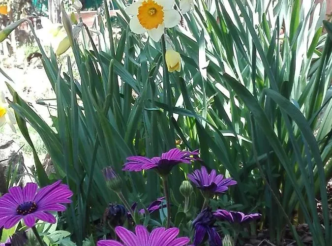 Naturaleza, Confort Y Maravillosas Vistas A Sierra De Gata Tr-Cc-00490 Holiday home