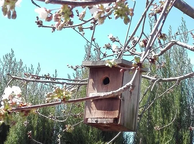 Naturaleza, Confort Y Maravillosas Vistas A Sierra De Gata Tr-Cc-00490